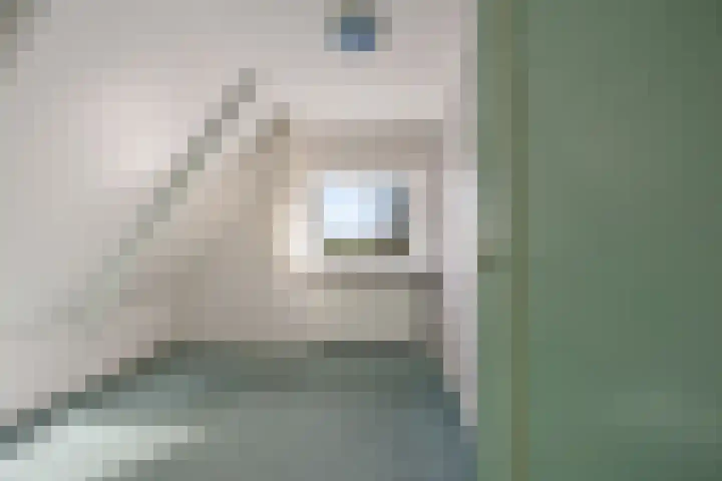 Hearsterwei 19 Frieschepalen thumbnail 25