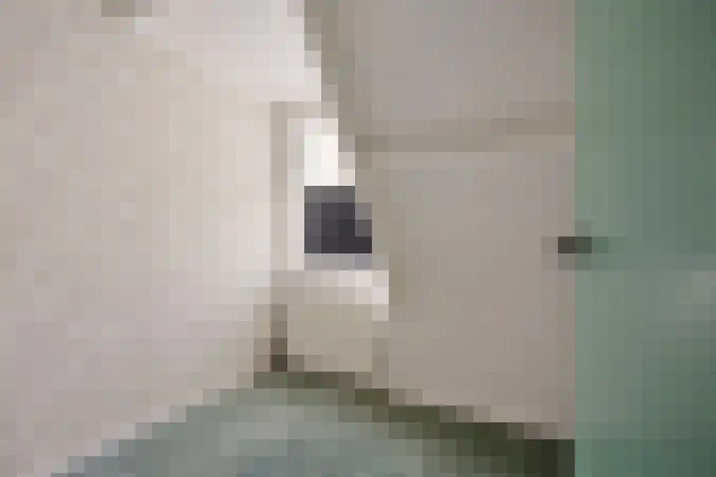 Hearsterwei 19 Frieschepalen thumbnail 29