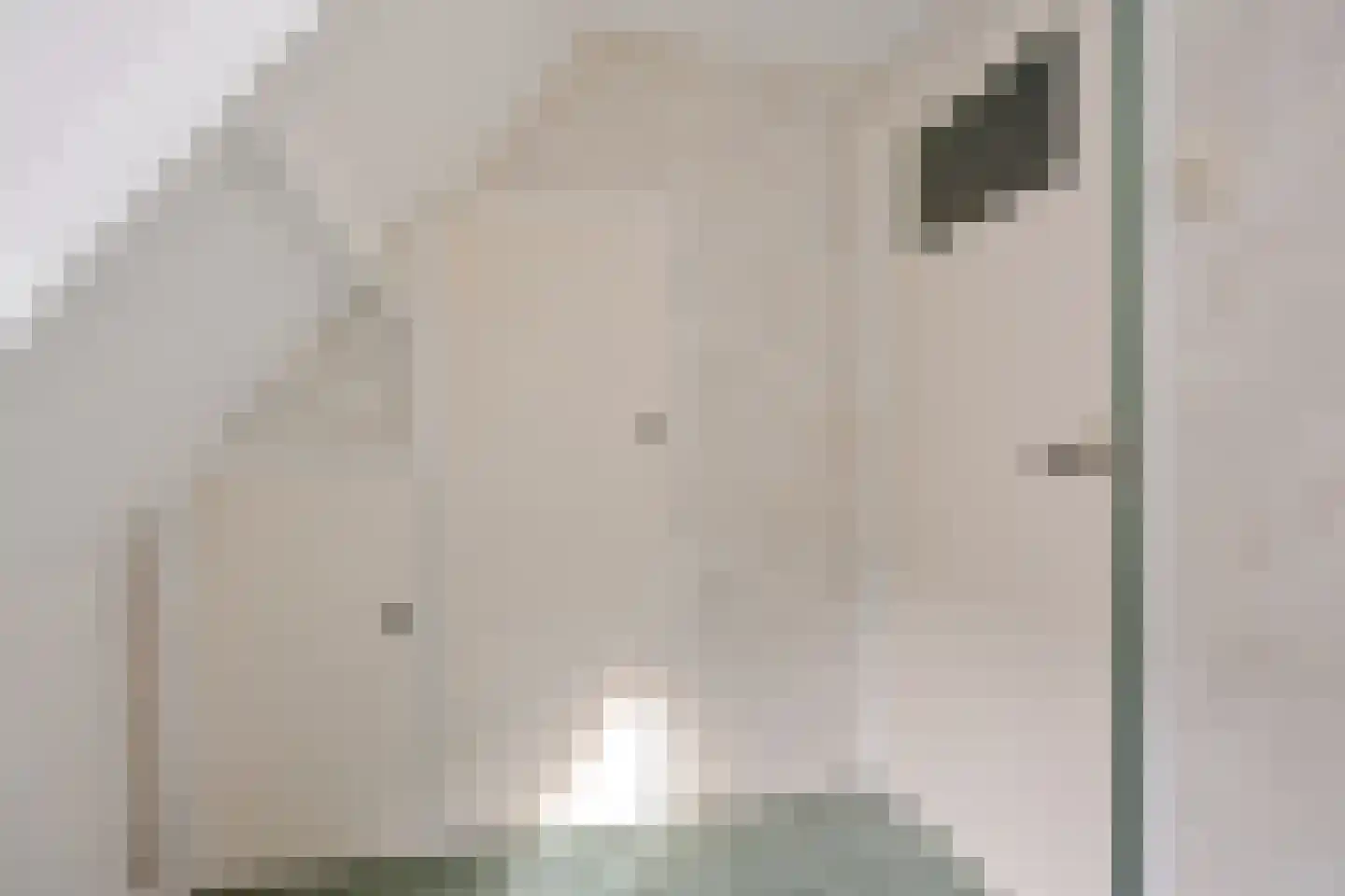Hearsterwei 19 Frieschepalen thumbnail 30