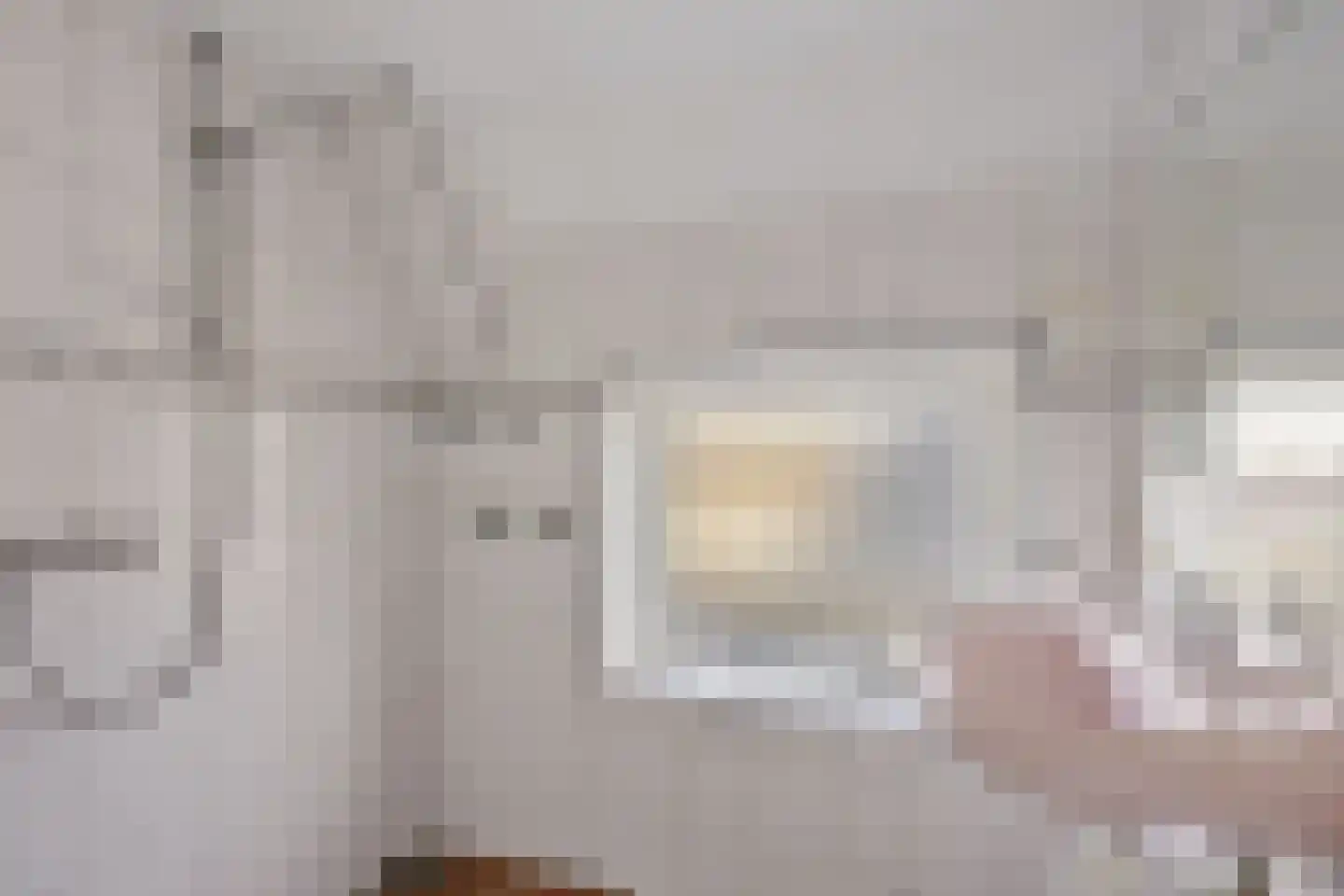 Hearsterwei 19 Frieschepalen thumbnail 34