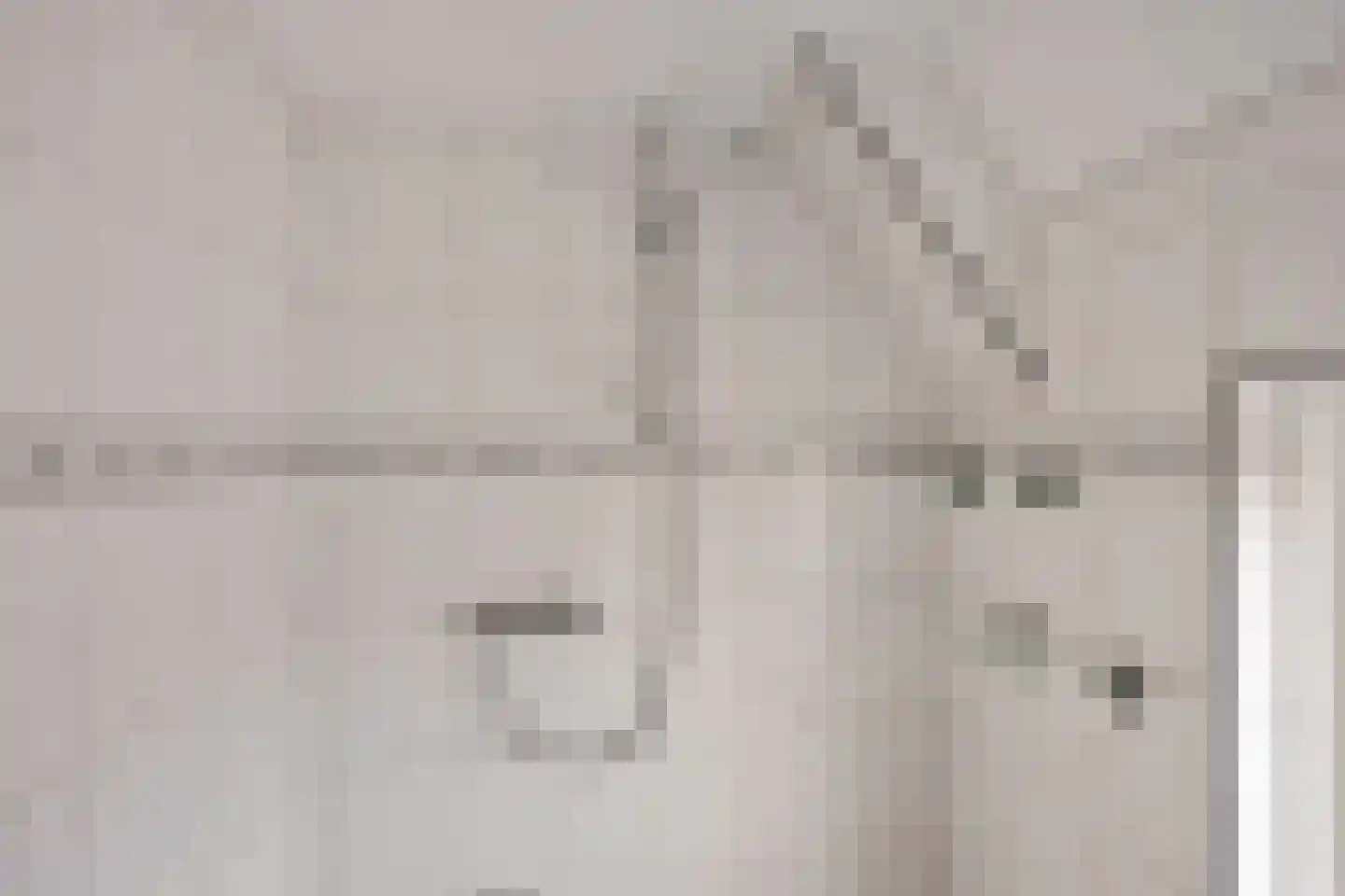 Hearsterwei 19 Frieschepalen thumbnail 35