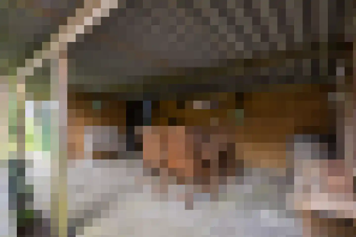 Hearsterwei 19 Frieschepalen thumbnail 38