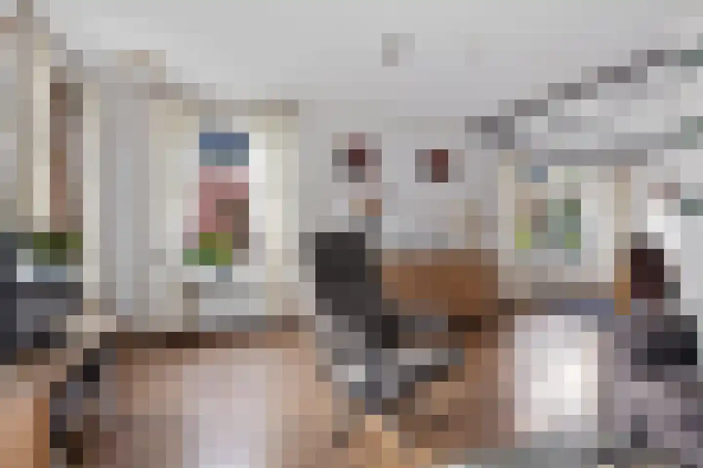 Hearsterwei 19 Frieschepalen thumbnail 4