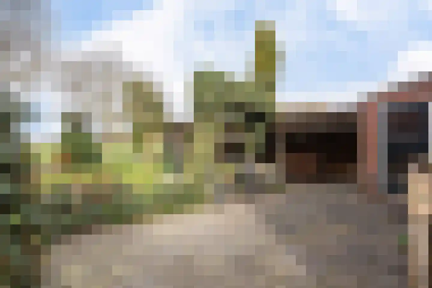 Hearsterwei 19 Frieschepalen thumbnail 40