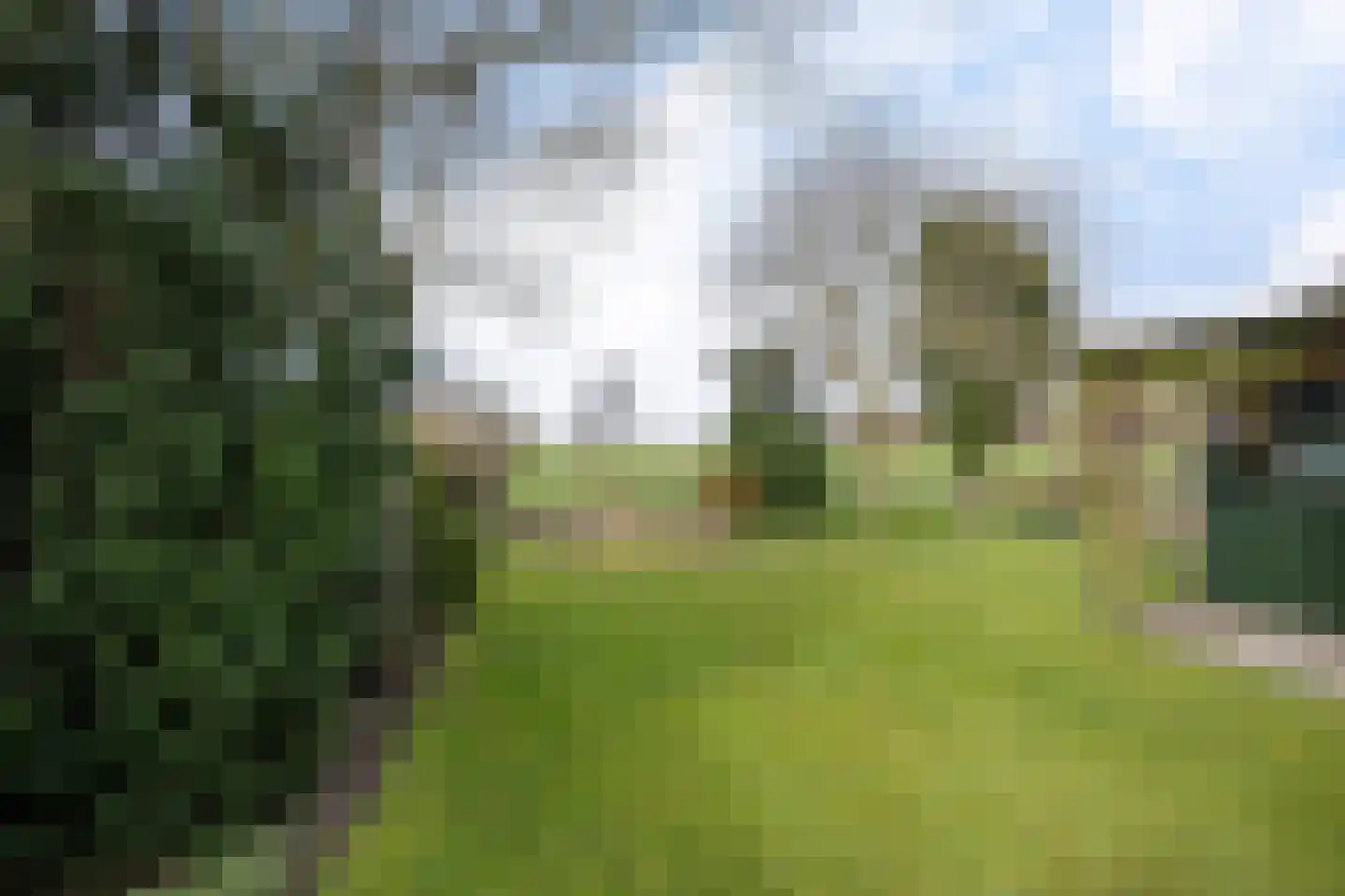 Hearsterwei 19 Frieschepalen thumbnail 41