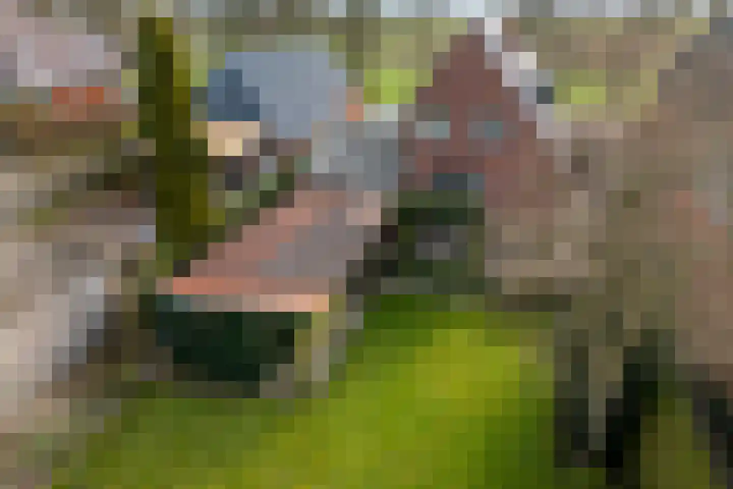 Hearsterwei 19 Frieschepalen thumbnail 44