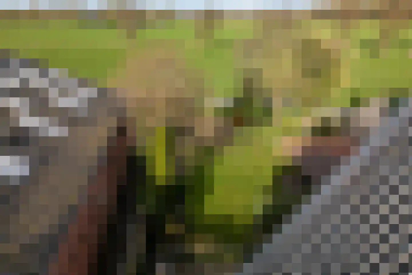 Hearsterwei 19 Frieschepalen thumbnail 46