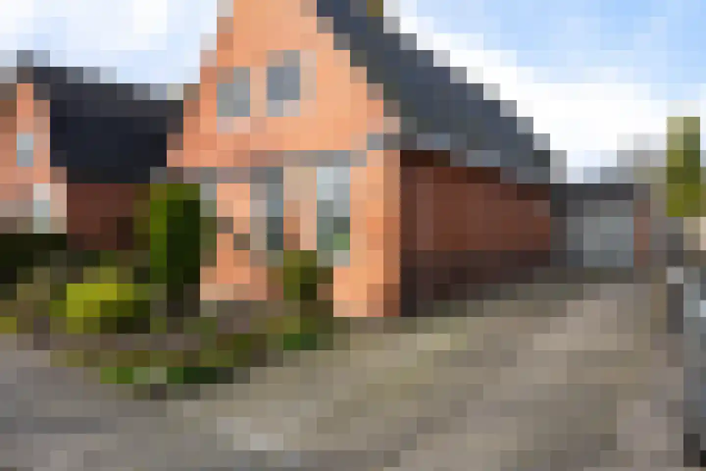 Hearsterwei 19 Frieschepalen thumbnail 47