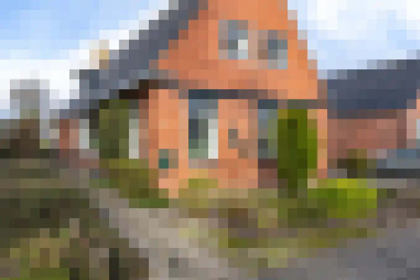 Hearsterwei 19 Frieschepalen thumbnail 49