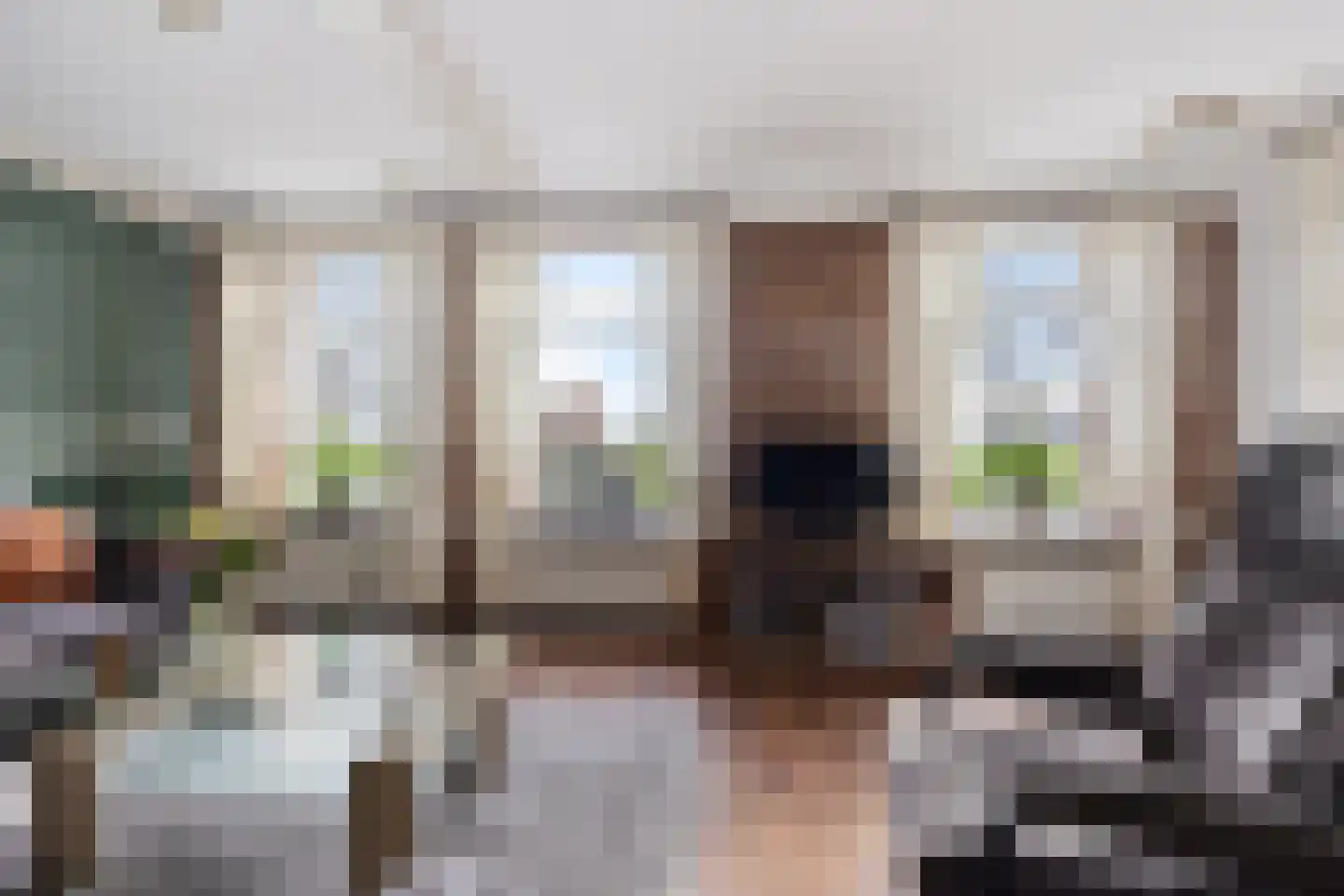 Hearsterwei 19 Frieschepalen thumbnail 5
