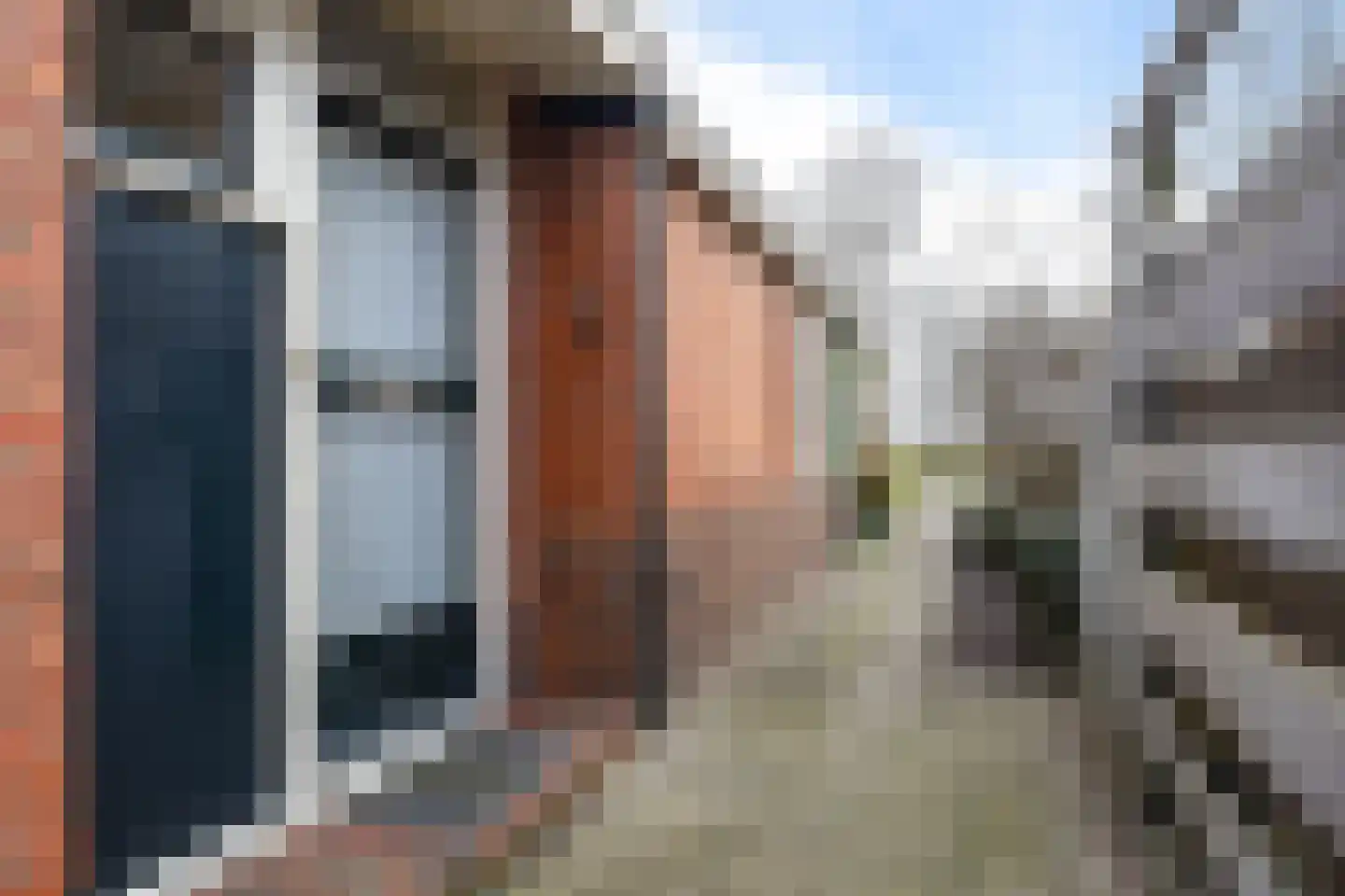 Hearsterwei 19 Frieschepalen thumbnail 50
