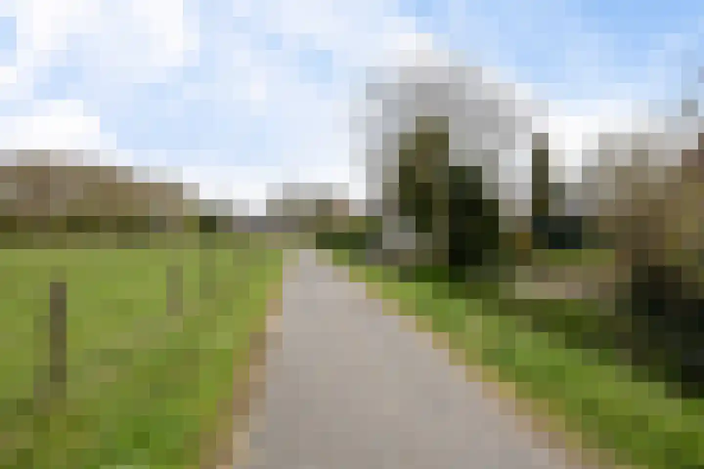 Hearsterwei 19 Frieschepalen thumbnail 55