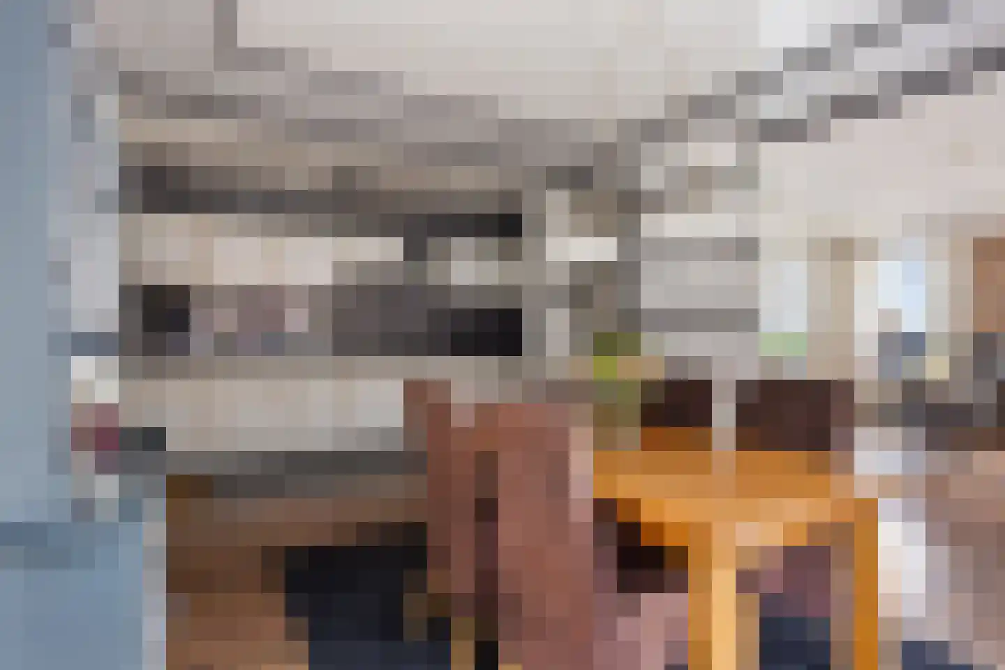Hearsterwei 19 Frieschepalen thumbnail 7