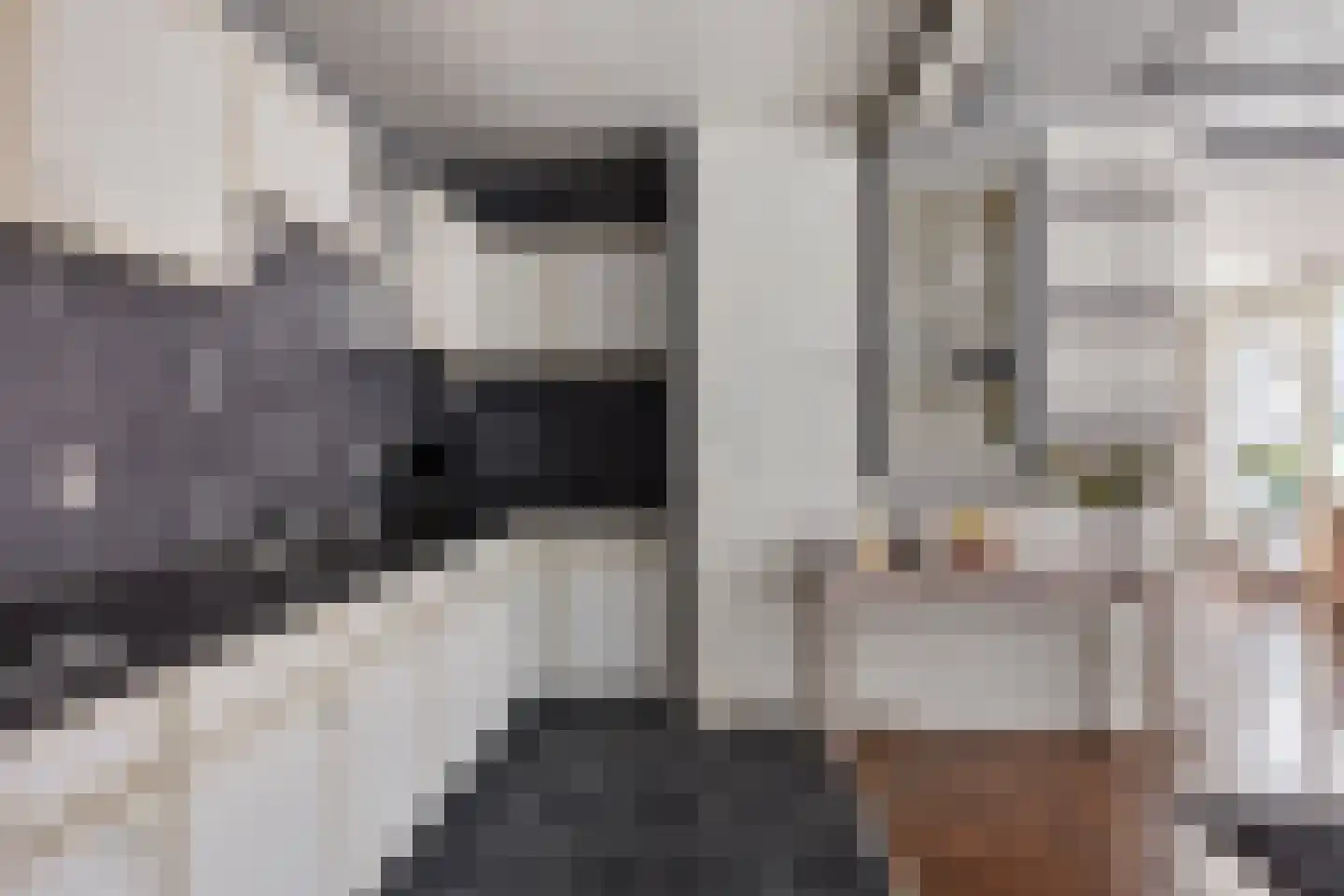 Hearsterwei 19 Frieschepalen thumbnail 8
