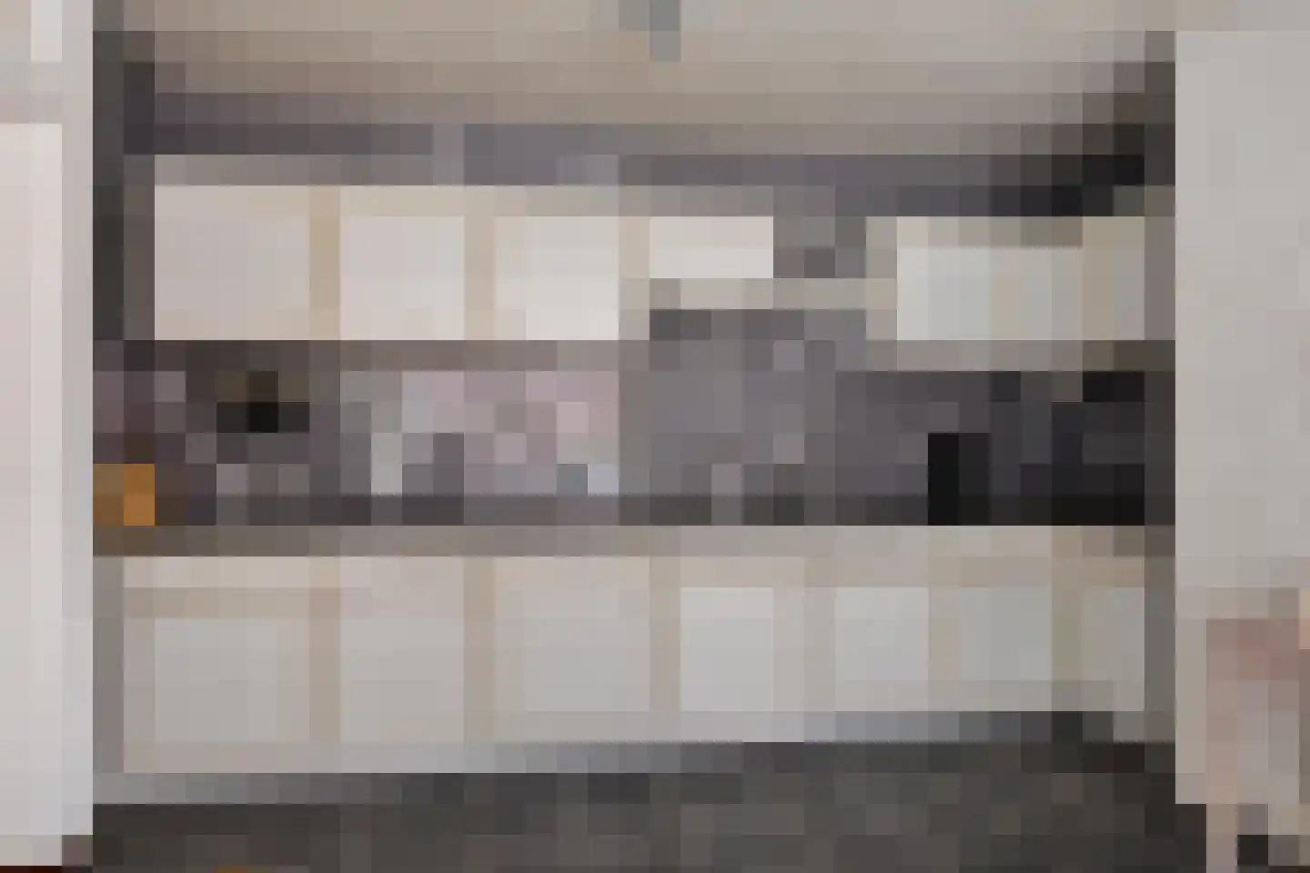 Hearsterwei 19 Frieschepalen thumbnail 9
