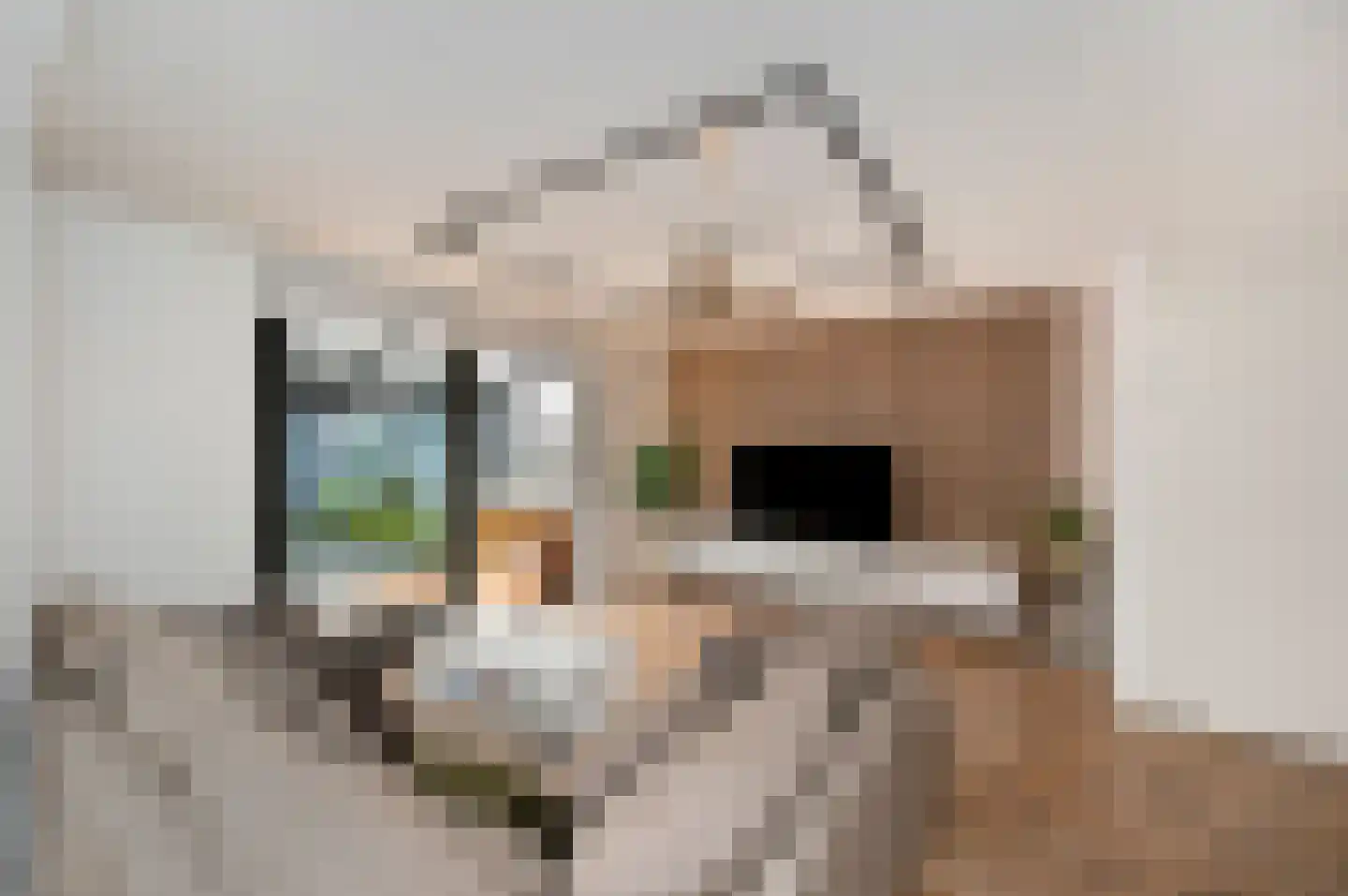 Hebatstraat 24 Almere thumbnail 10
