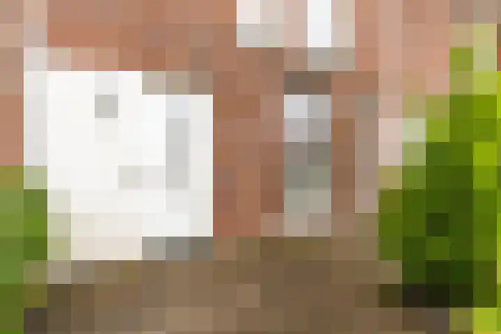 Hebatstraat 38 Almere thumbnail 67