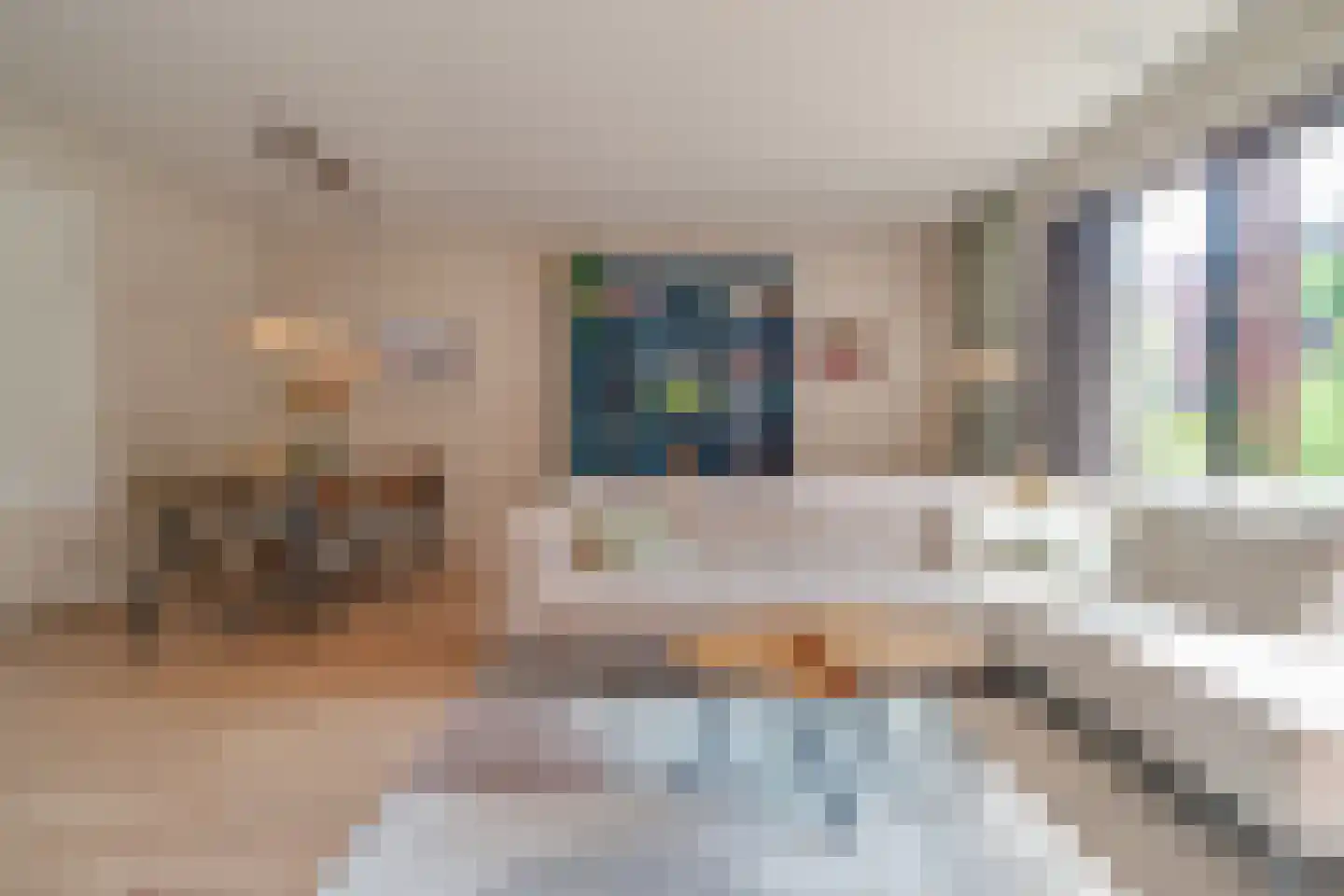Hebe Kohlbruggeweg 2 Utrecht thumbnail 25