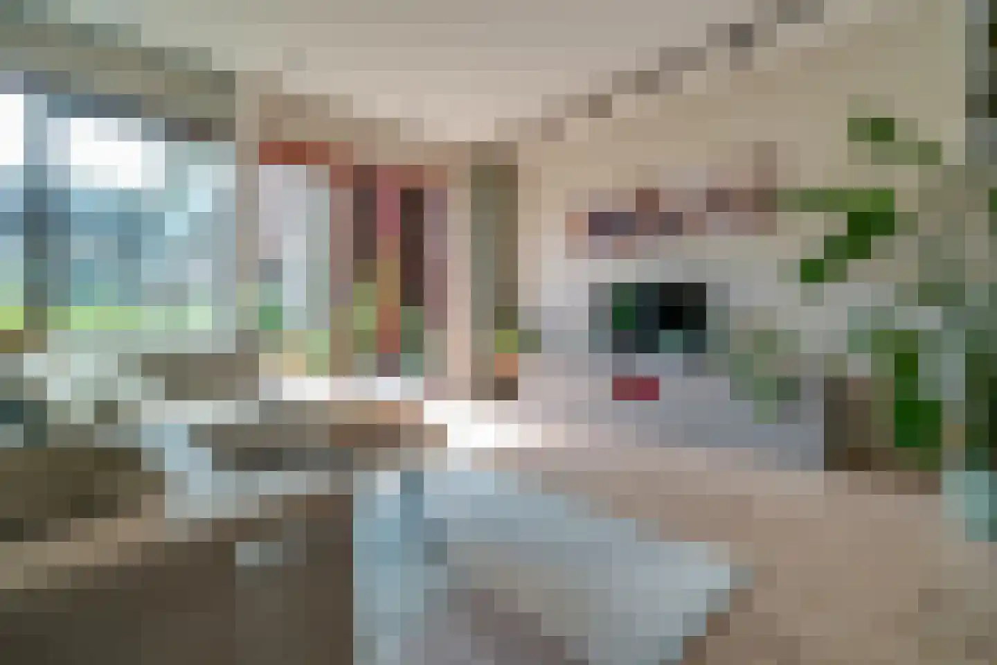 Hebe Kohlbruggeweg 2 Utrecht thumbnail 26