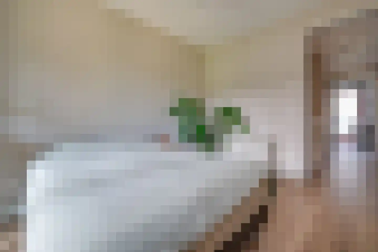 Hebe Kohlbruggeweg 2 Utrecht thumbnail 33