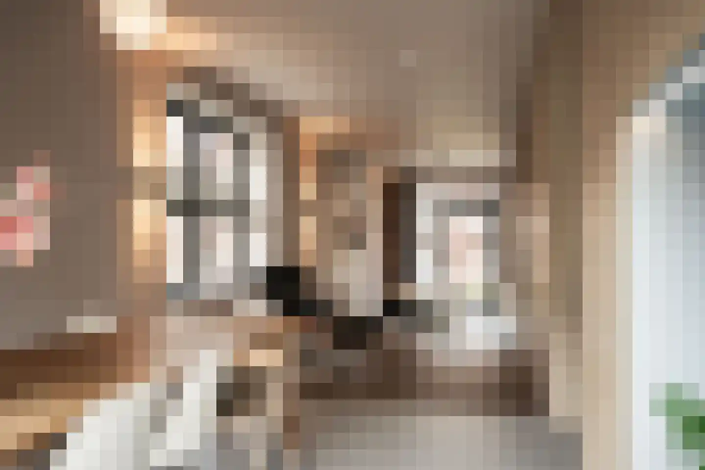 Hebe Kohlbruggeweg 22 Utrecht thumbnail 17