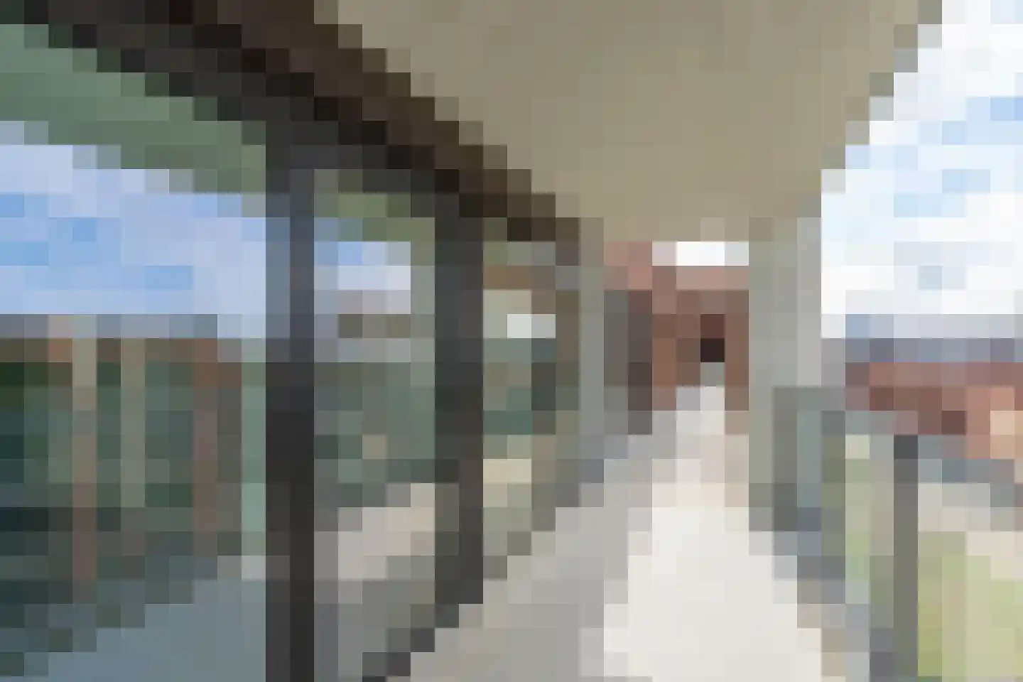 Hebe Kohlbruggeweg 70 Utrecht thumbnail 11