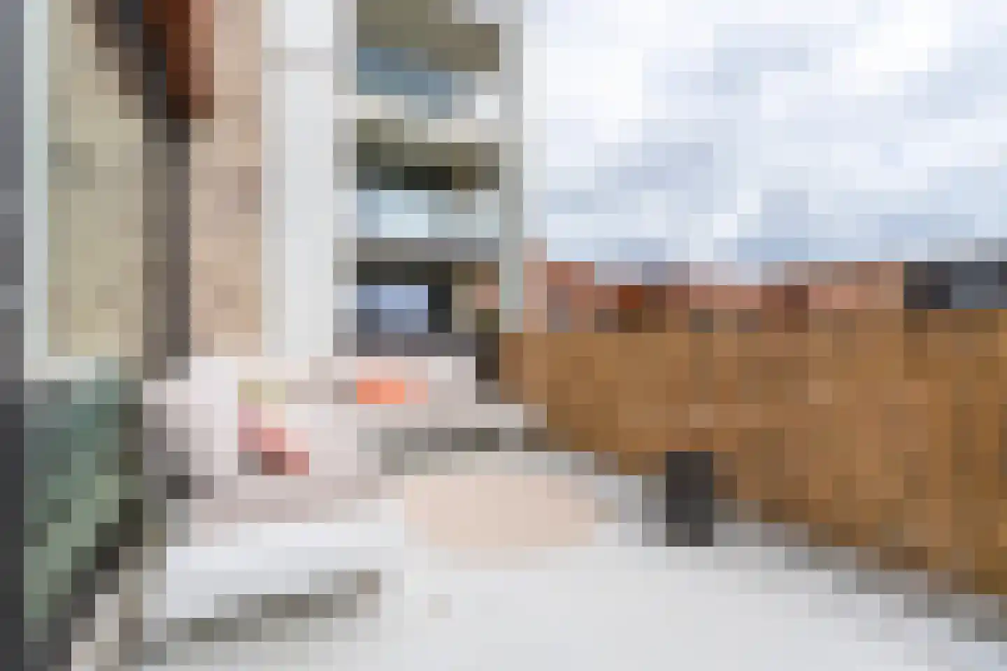Hebe Kohlbruggeweg 70 Utrecht thumbnail 32