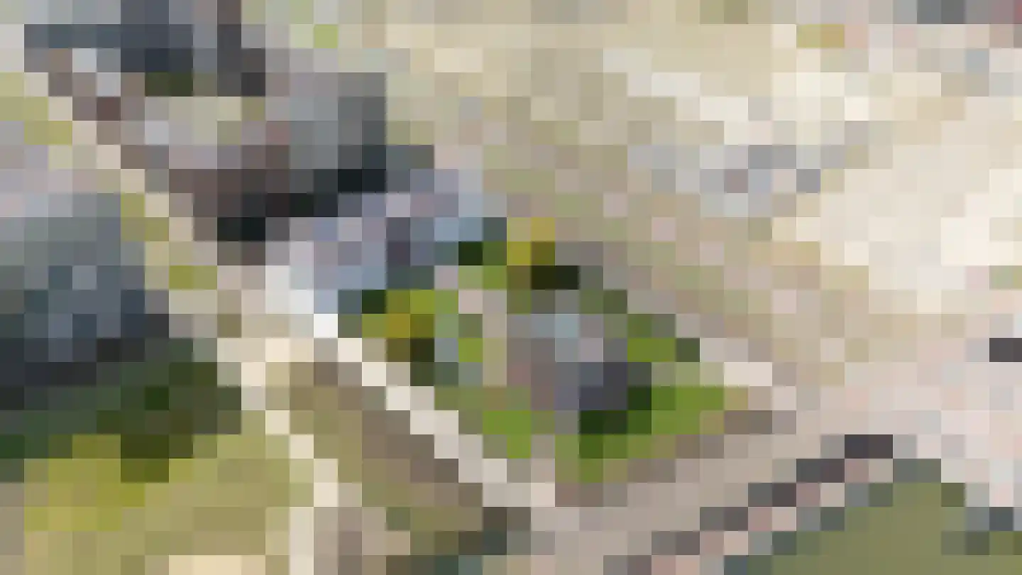 Hebe Kohlbruggeweg 70 Utrecht thumbnail 64