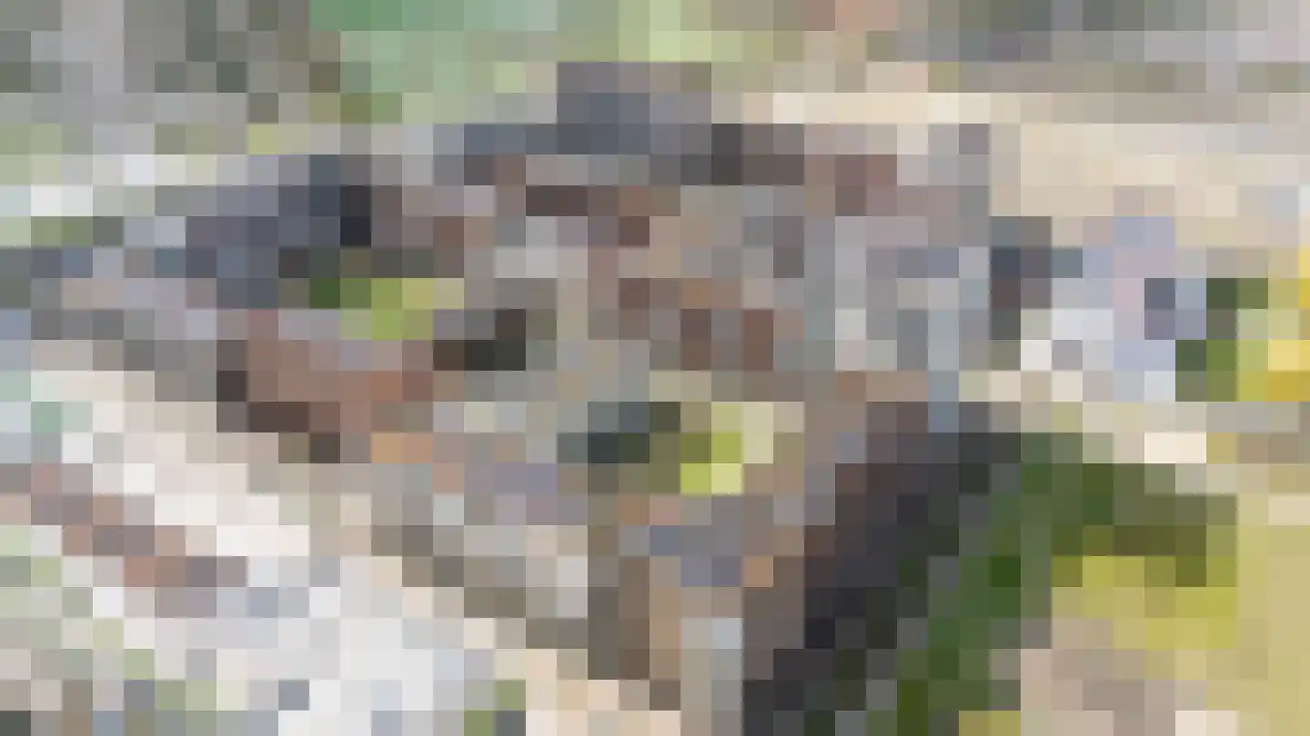 Hebe Kohlbruggeweg 70 Utrecht thumbnail 65