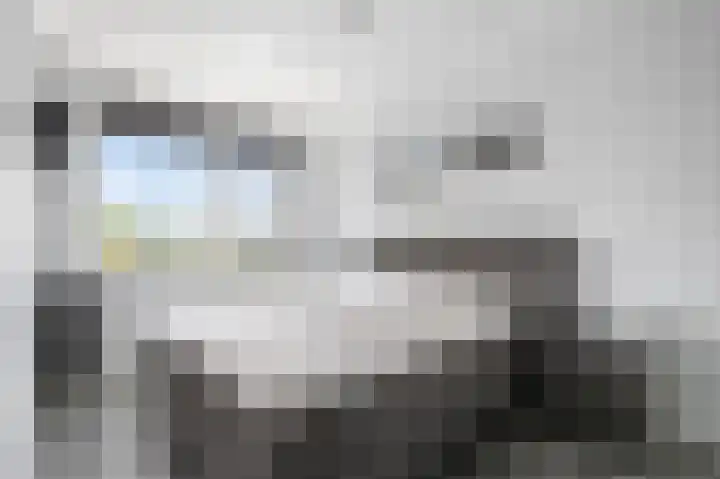 Hebingskamp 23 Didam thumbnail 15