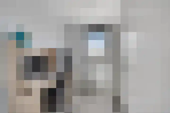 Hebingskamp 23 Didam thumbnail 17
