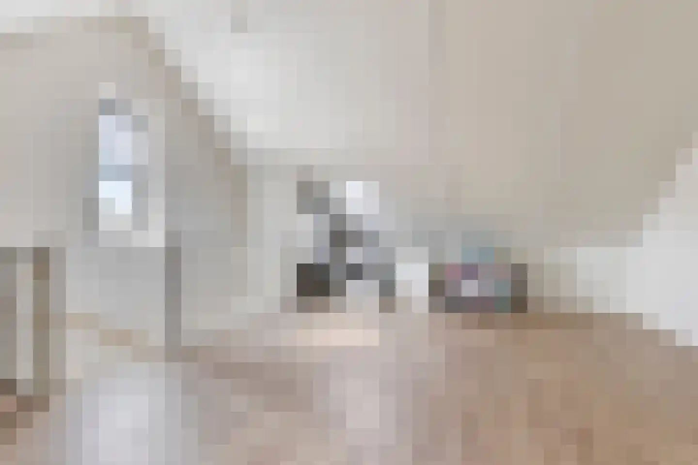 Hebingskamp 39 Didam thumbnail 30