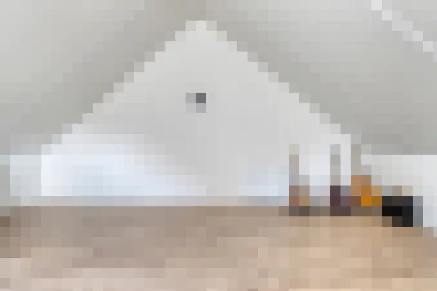 Hebingskamp 39 Didam thumbnail 31