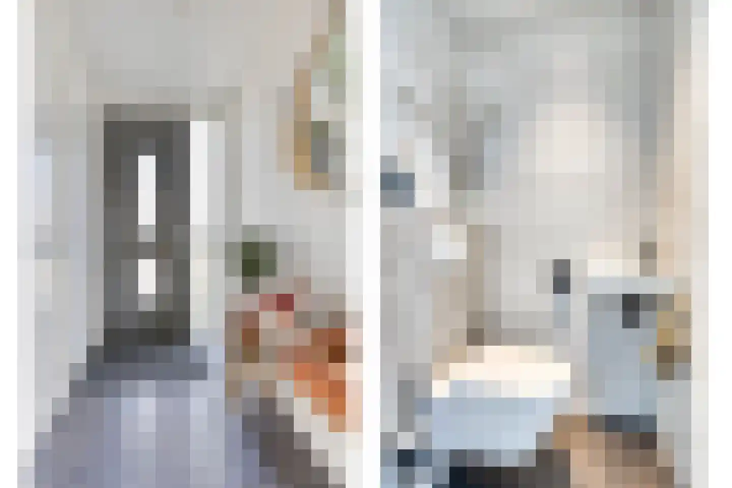 Hebingskamp 39 Didam thumbnail 9