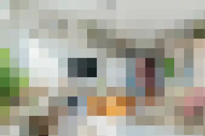 Hebriden 109 Zoetermeer thumbnail 6
