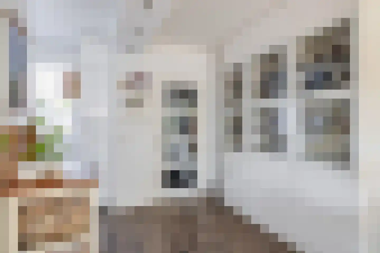 Hebriden 12 Capelle aan den IJssel thumbnail 18