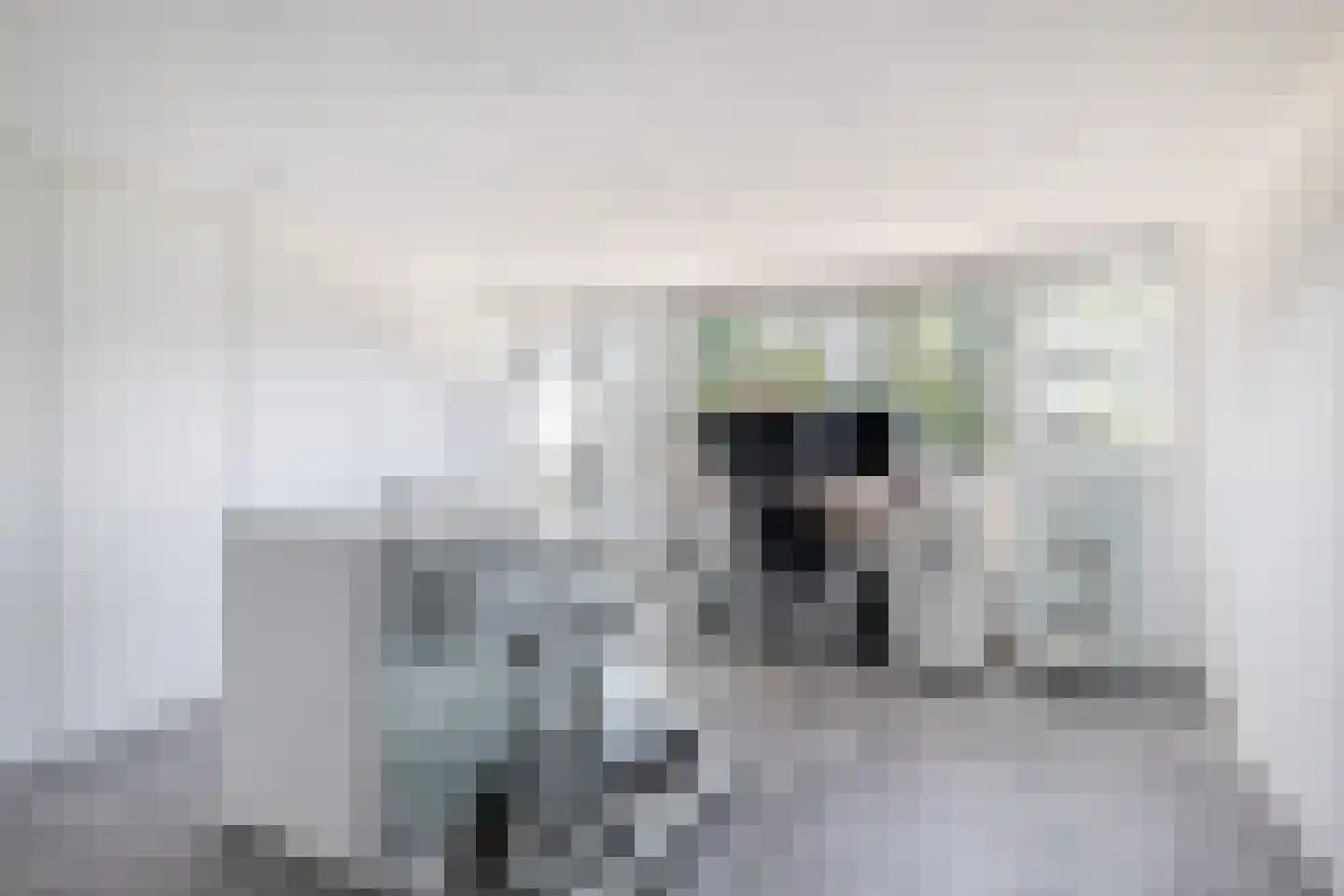 Hebriden 12 Capelle aan den IJssel thumbnail 32