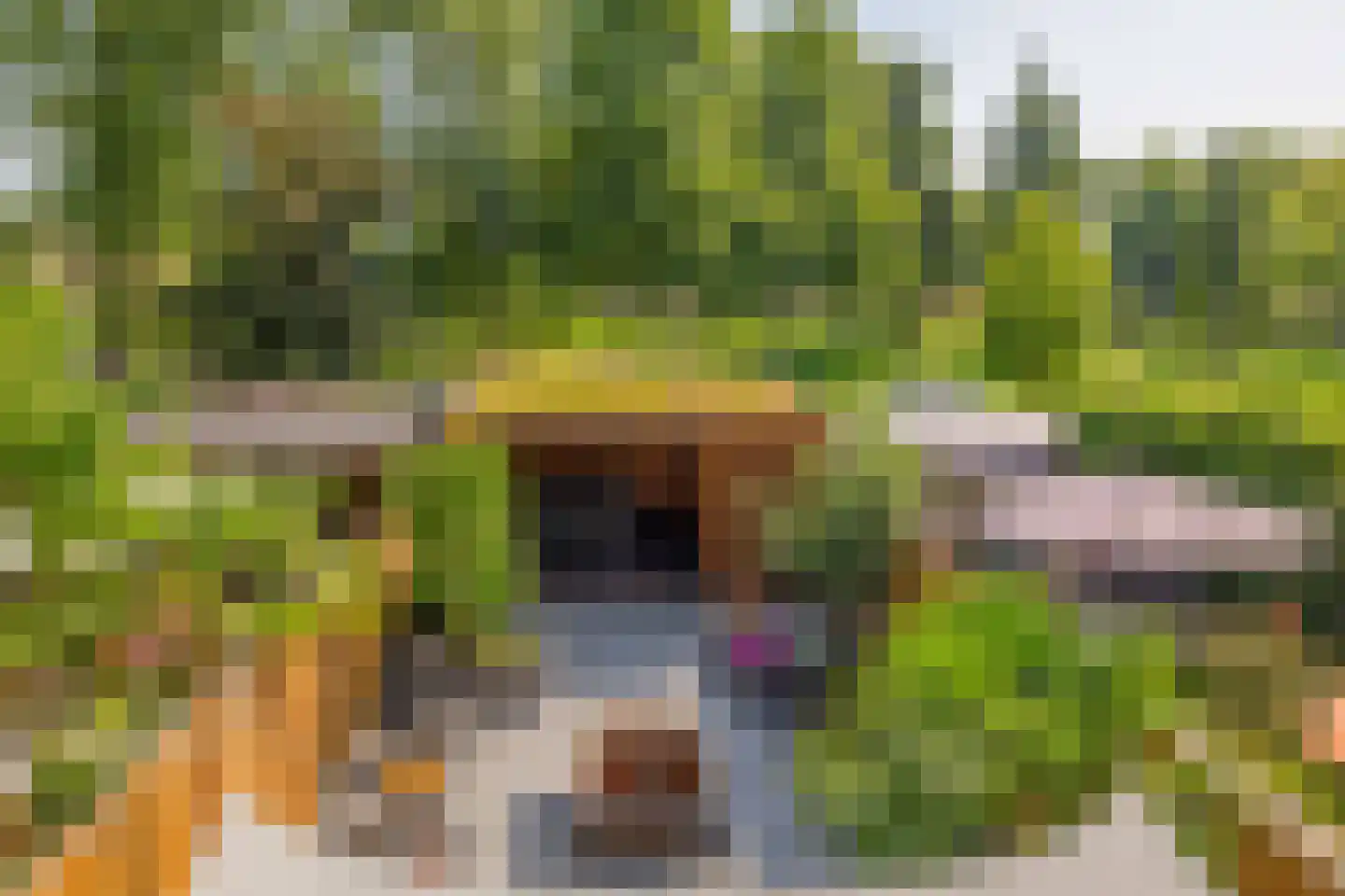 Hebriden 12 Capelle aan den IJssel thumbnail 47