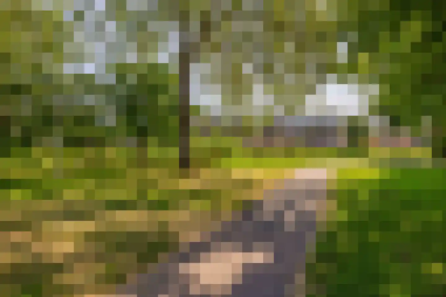 Hebriden 12 Capelle aan den IJssel thumbnail 64