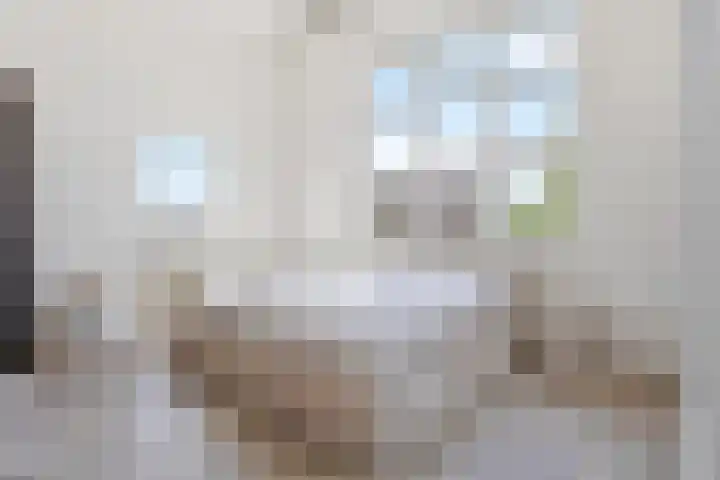 Hebriden 12 Zoetermeer thumbnail 13