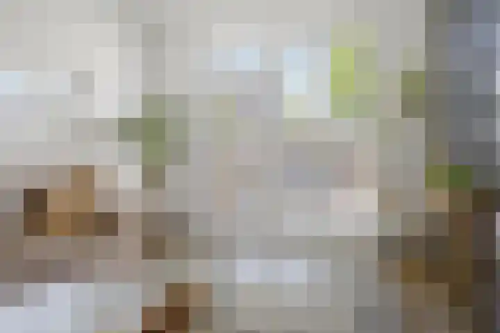 Hebriden 12 Zoetermeer thumbnail 4