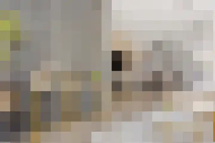 Hebriden 12 Zoetermeer thumbnail 5