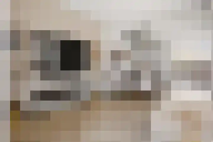 Hebriden 12 Zoetermeer thumbnail 6