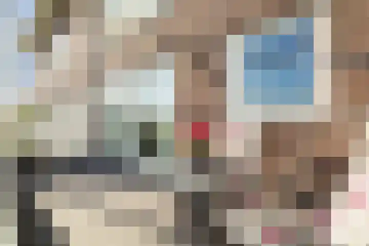 Hebriden 169 Zoetermeer thumbnail 17