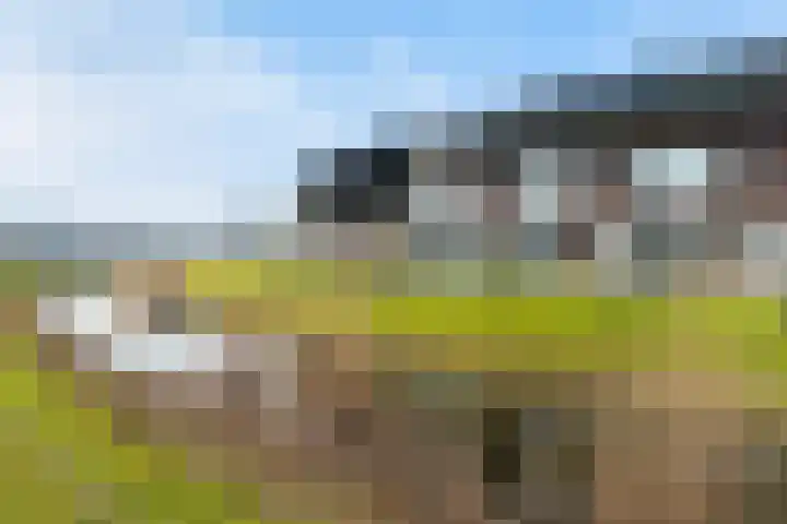 Hebriden 169 Zoetermeer thumbnail 40