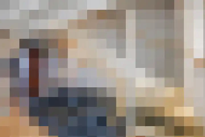 Hebriden 213 Zoetermeer thumbnail 12