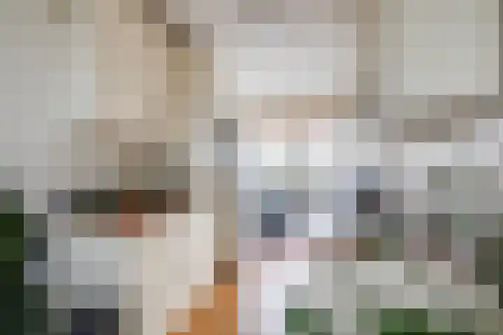 Hebriden 213 Zoetermeer thumbnail 13