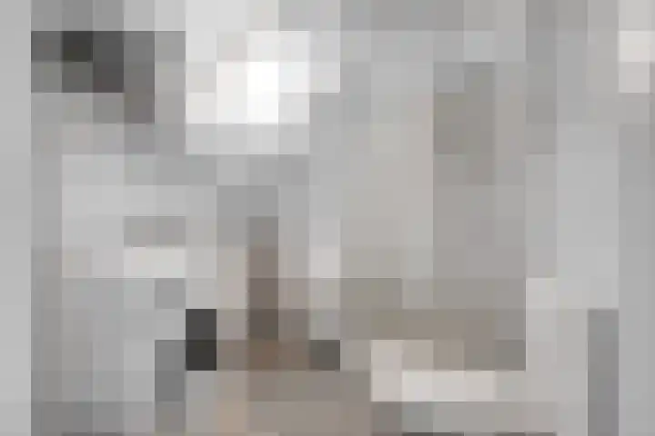 Hebriden 213 Zoetermeer thumbnail 7