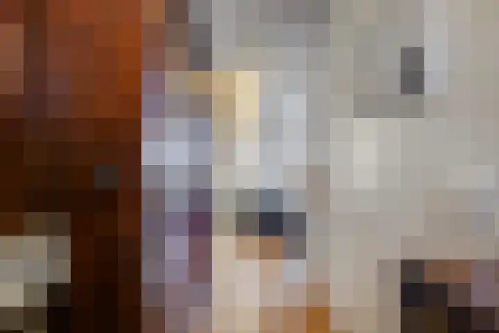Hebriden 213 Zoetermeer thumbnail 8