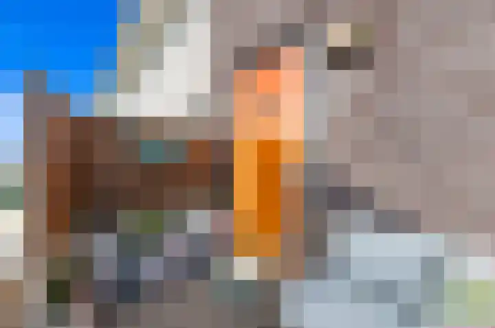 Hebriden 223 Zoetermeer thumbnail 7